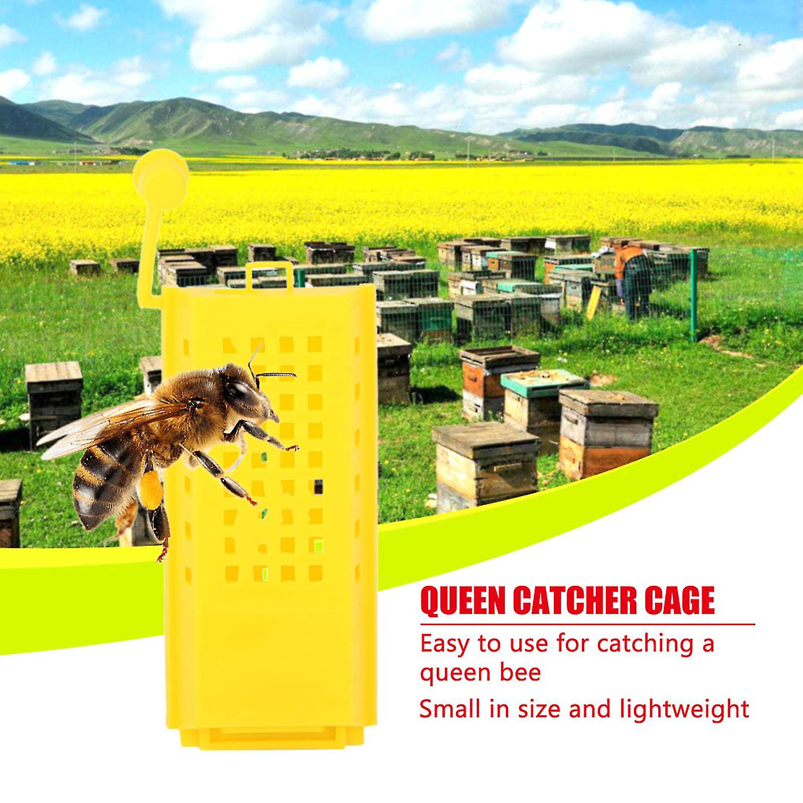 10Pcs Plastic Queen Bee Cages Transporting Catcher Beekeeper Beekeeping Tool