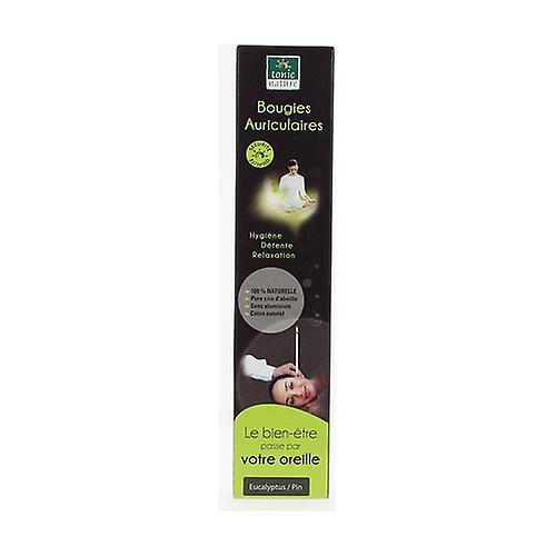 Eucalyptus Candle Candle - Pine 1 unit (Eucalyptus)