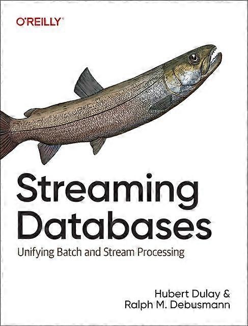 Streaming Databases by Raplh Matthias Debusmann Paperback