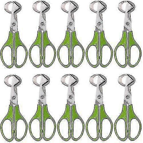10pcs Quail Eggs Scissors, Quail Egg Shell Cutter Stainless Steel Egg Shell Opener, Egg Shell Cutting Scissors