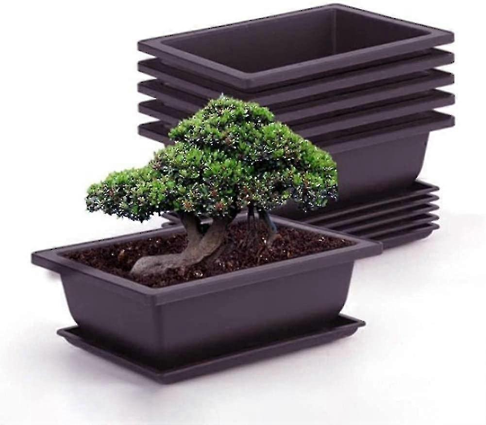 مجموعة من 6 أواني تدريب بونساي مع صينية مربعة بلاستيكية زهرية عصارية نباتية عصارية للحديقة ، غرفة المعيشة