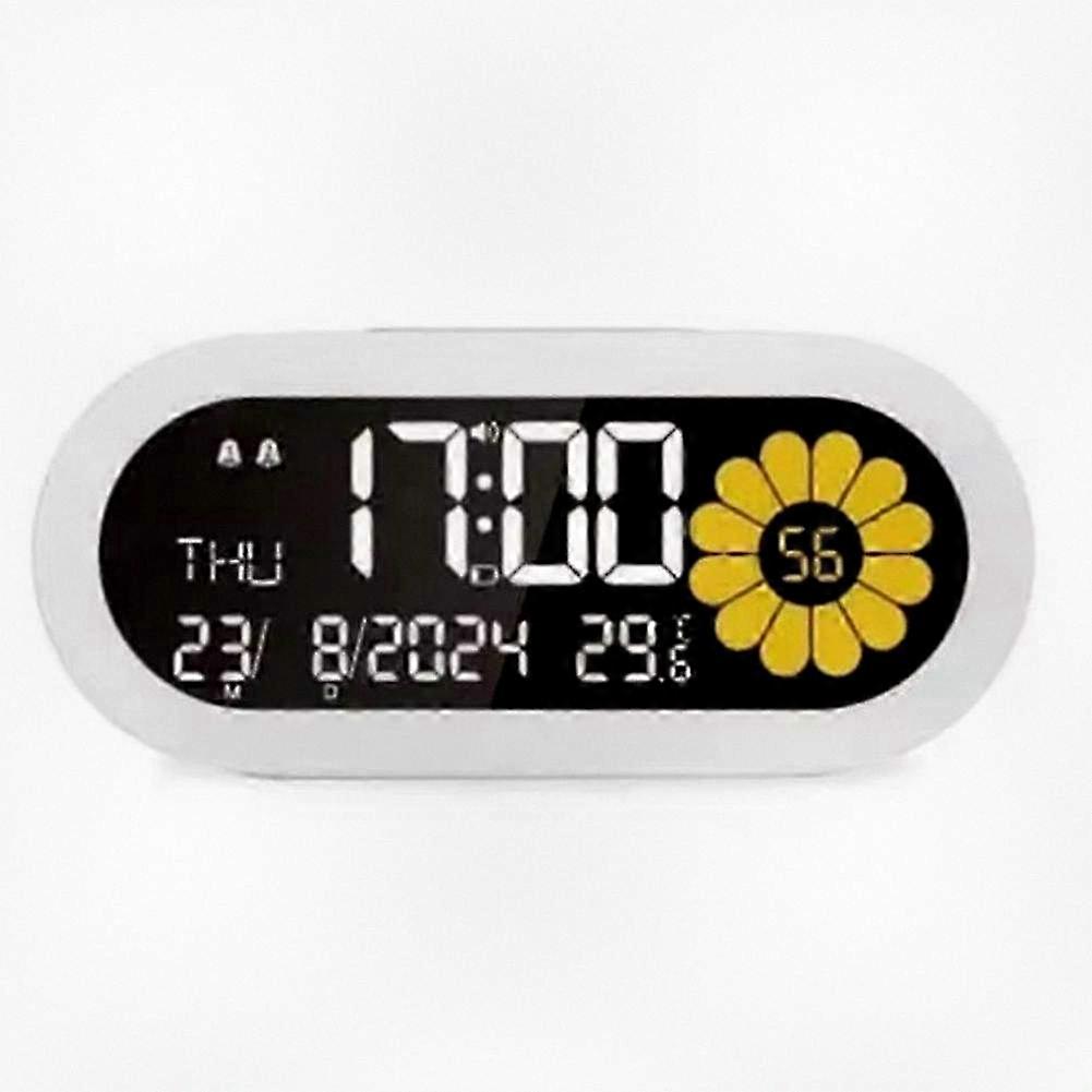 Multi-Function Digital Timer with LCD Display, Dual Alarm, 12/24 Hour Format for Children