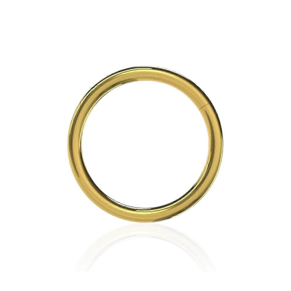 316L Surgical Steel 16g Hinged Segment Clicker Ring
