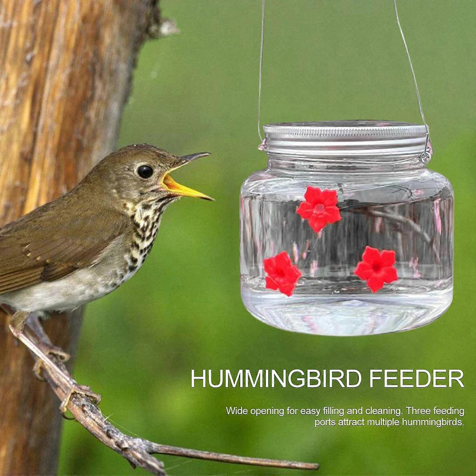 美丽的蜂鸟喂食器蜜饯罐带端口花挂式喂鸟器花园走廊阳台装饰宠物运输