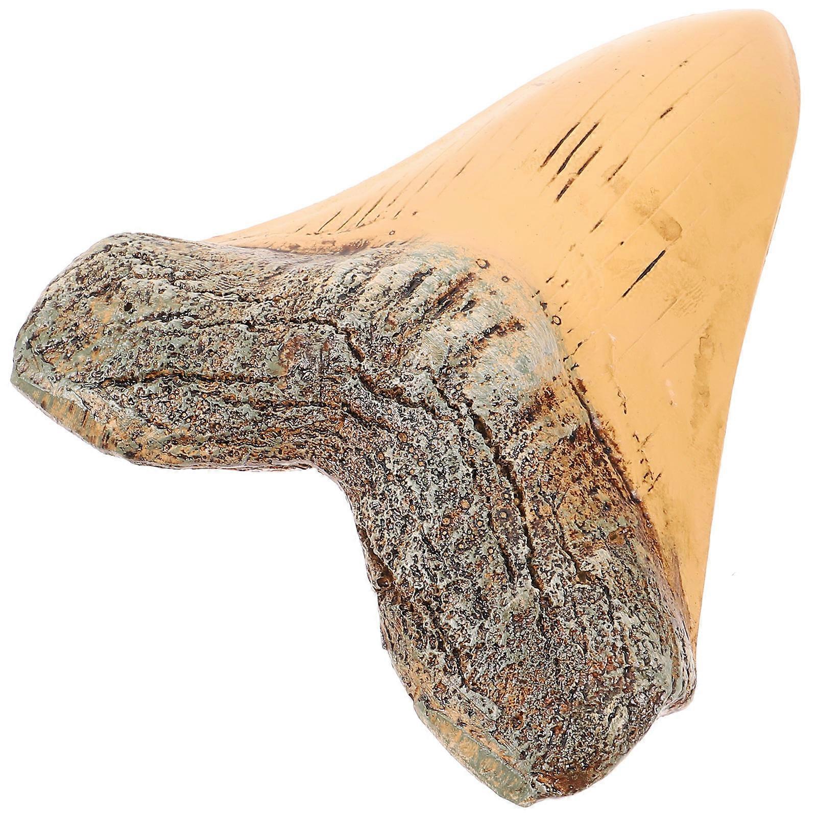 Realistic Decoration Resin Model Fossilized Prehistoric For Home Office Gift 1Set