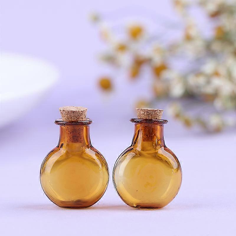 2Pcs Mini Glass Bottles Wishing Bottle With Corks Tiny Jars Vials Storage Bottle