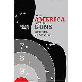 Come hai suoi cannoni America: Una storia della crisi di violenza di pistola
