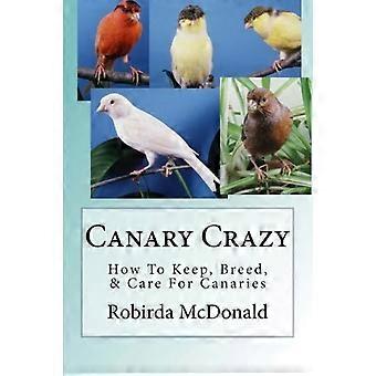 Canari Fou