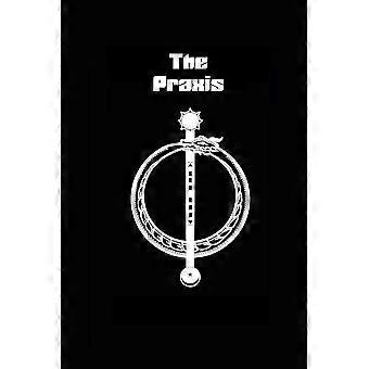 The Praxis - Dirk Bruere - Paperback - en Book