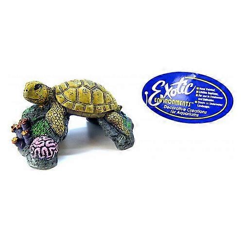 Blue Ribbon 宠物用品海龟装饰品,5 英寸长 x 4 英寸宽 x 2.5 英寸高(1 件装)