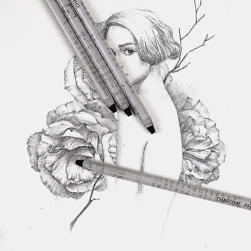 Art Pencils Charcoal Pencils Sketch Soft Hand Tear Line Carbon Pen Compatible With Drawing Painting