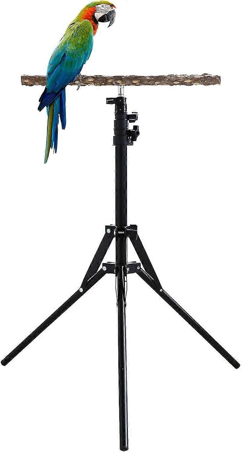 Adjustable Bird Perch | Bird Training Perch | Bird Perch Height Stand | Standing