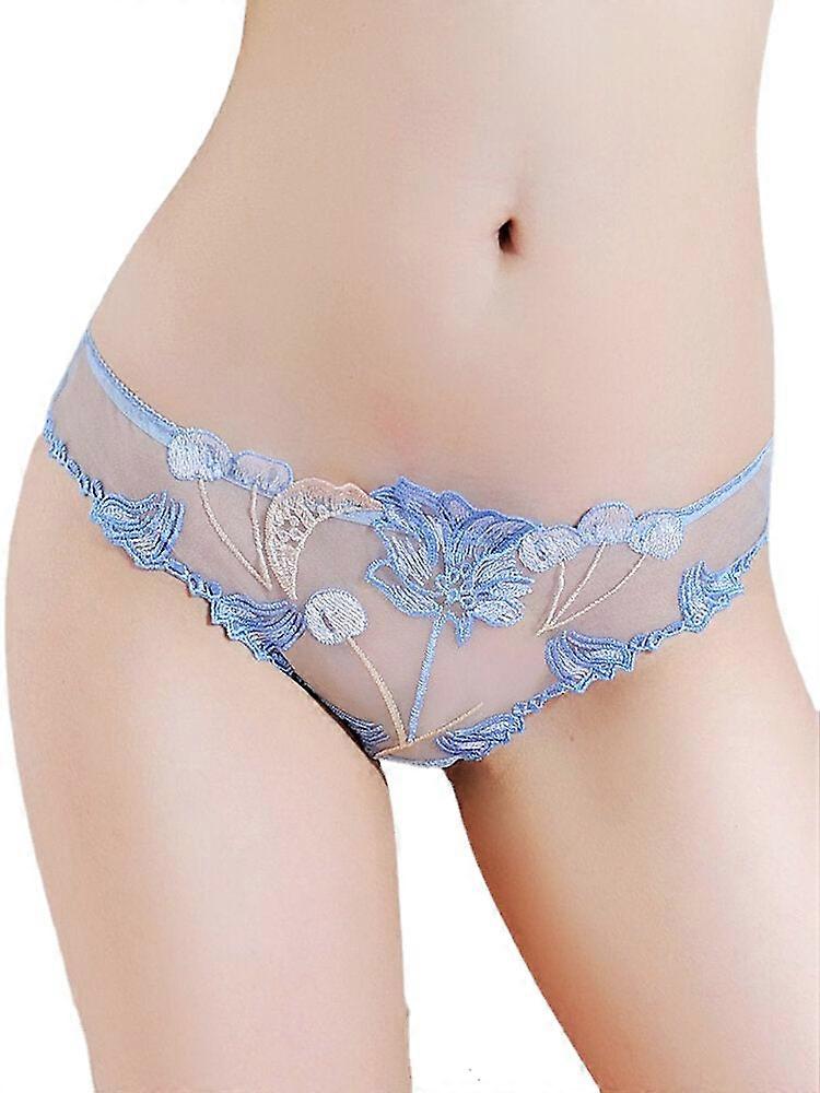 Women's Sheer Embroidered Low Waist Panty