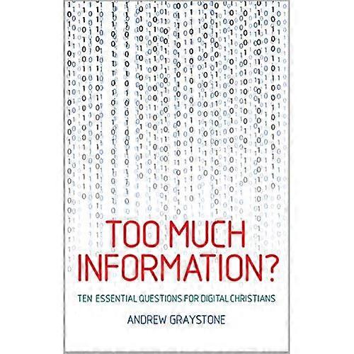 Too Much Information?: Ten essential questions for digital Christians