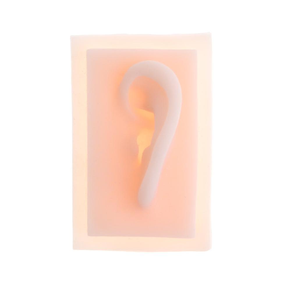 Soft :1 Lifesize Human Statue Teaching Aids