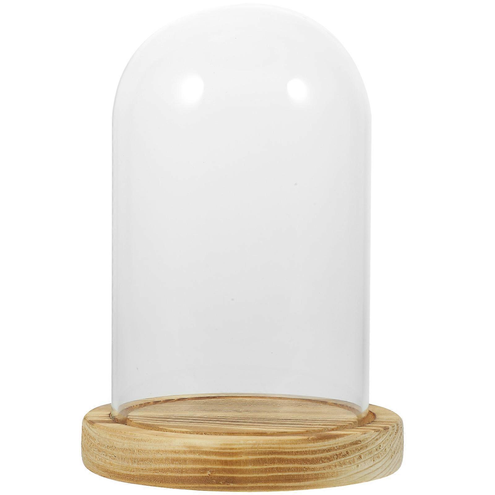 Glass Dome Cloche Display Case Handmade Wood Base For Indoor Use Flower Stand 1Set