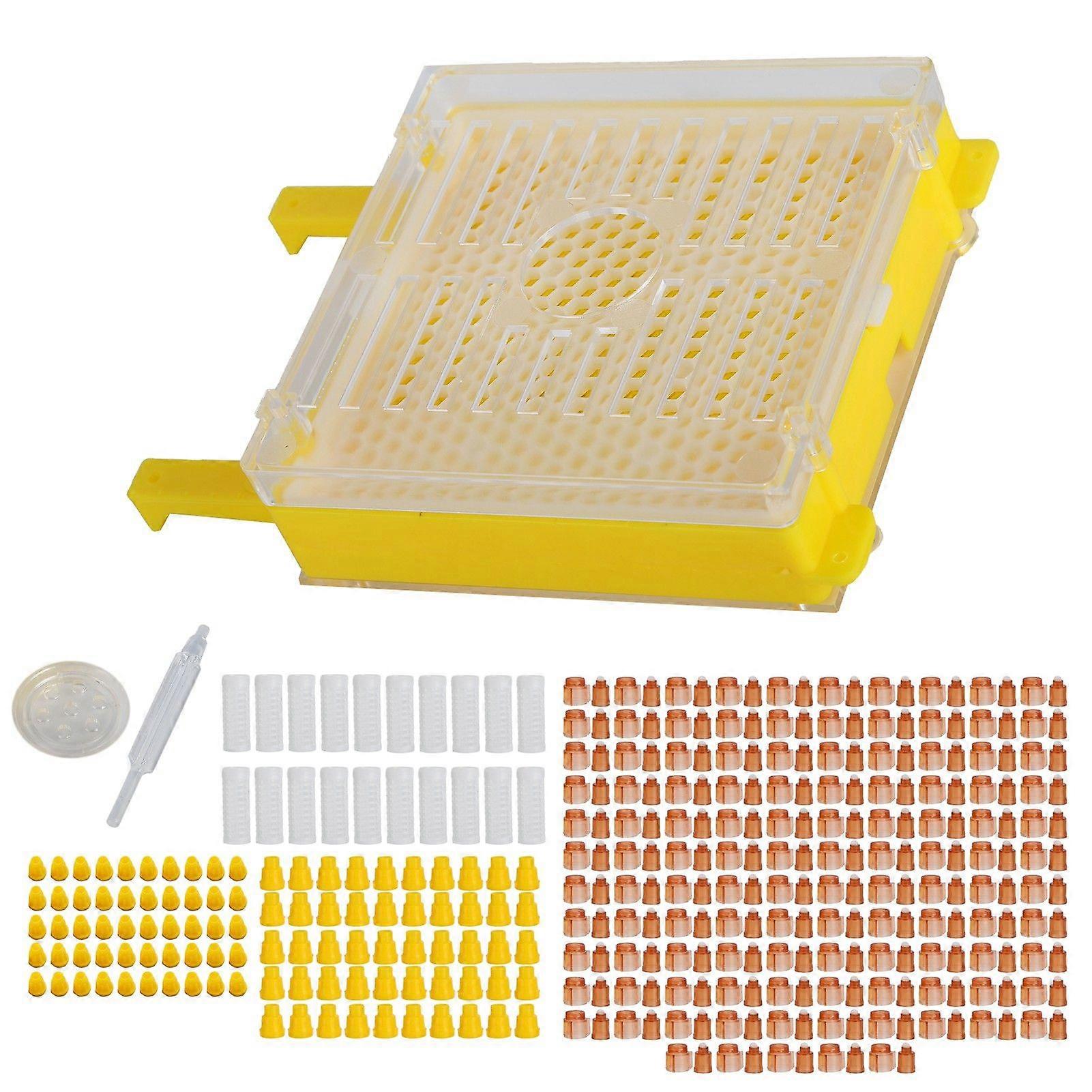 Kit per sistema di apicoltura, sistema di allevamento di api regine, kit per innesto in scatola per apicoltura