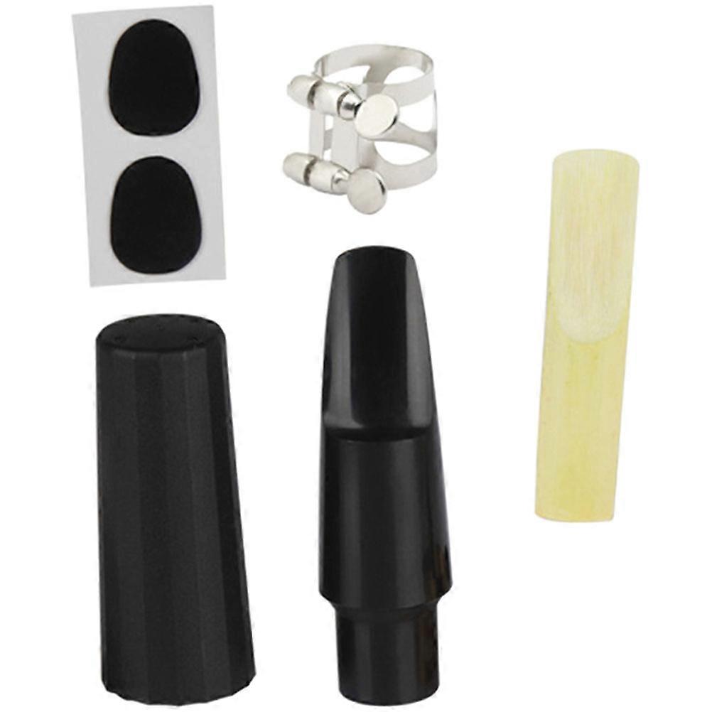 It sounds like you're referring to a product listing for a **saxophone accessories kit**, possibly for an alto saxophone. Here's a breakdown of what