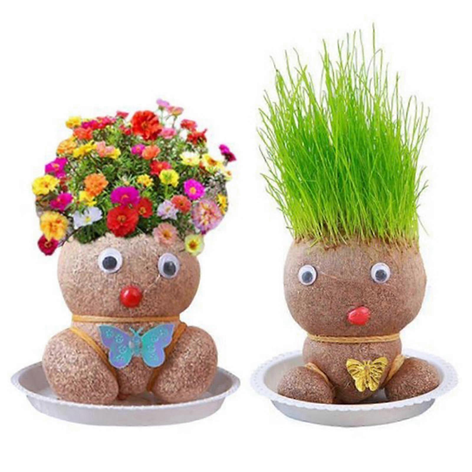 2PCS自己种植套件 - 草头娃娃植物 - 孩子们可以种植的草头 - 完美的可爱和有趣的礼物,适合男女孩子们
