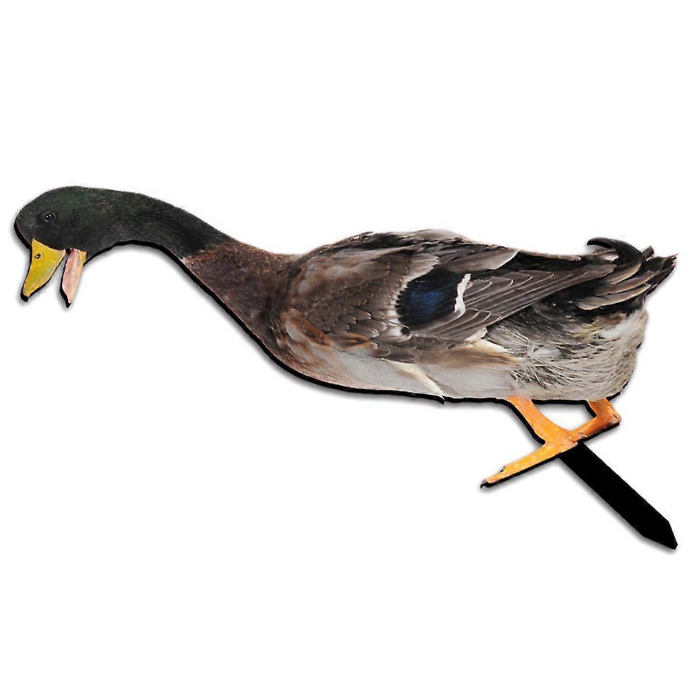 Interesting Acrylic Garden Insert 2Pcs T-Shaped Lawn Stake For Decorative Outdoor Scenarios Adding Unique Charm To Your Landscape