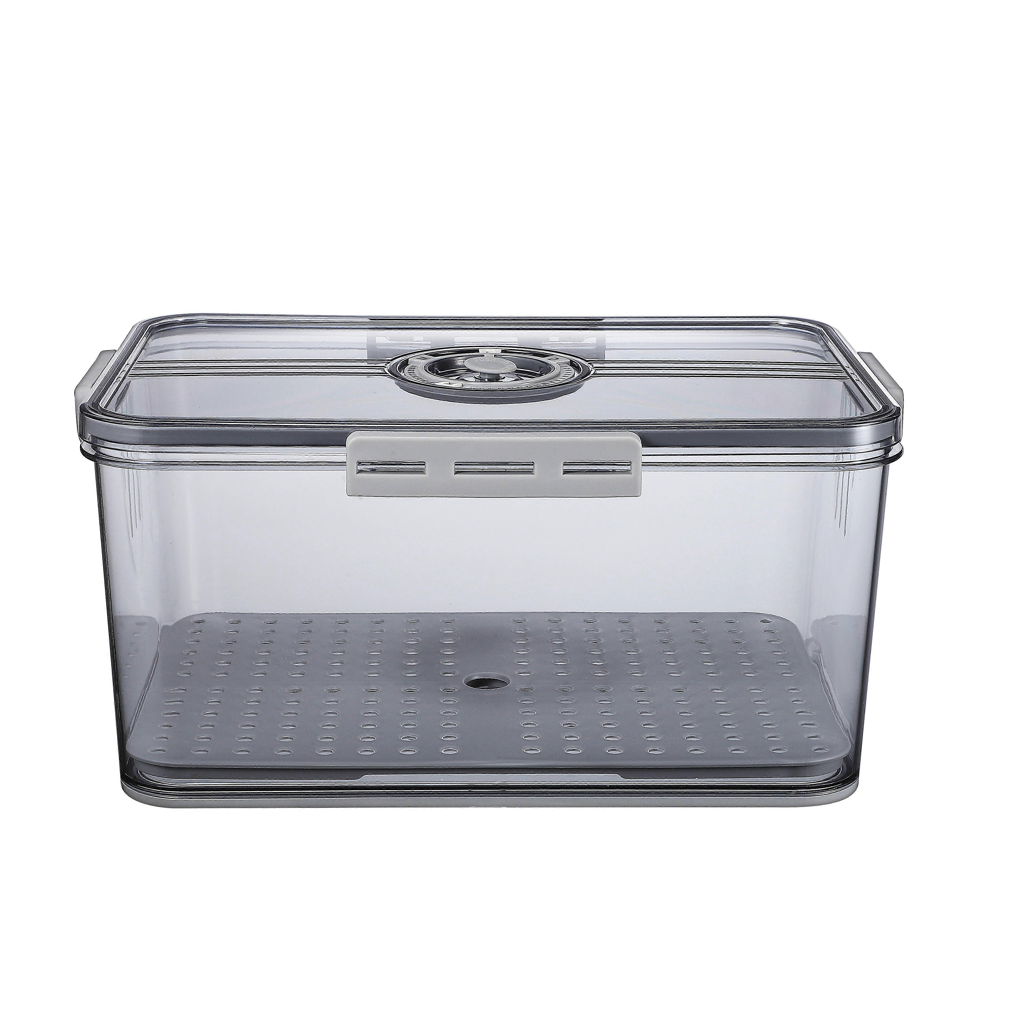 Fresh-Keeping Organizer Box Time Recording Food Storage For Fruits Breads And More 1Set Transparent