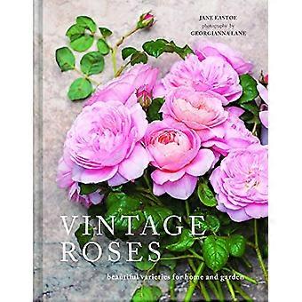 Vintage Roses Beautiful varieties for home and garden
