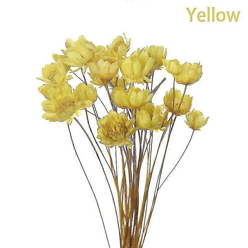 30db Daisy Kis csillag szárított virágok csokor konzerv virágcsere virág esküvői dekorációhoz