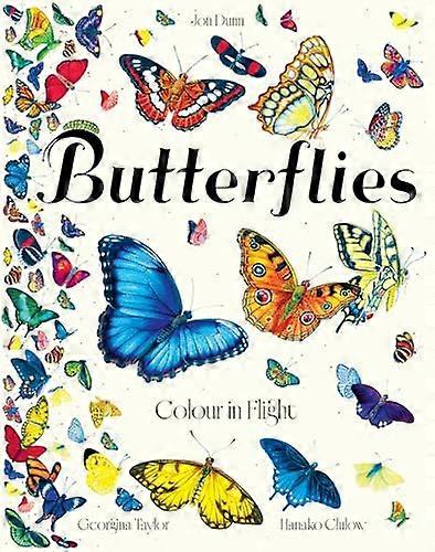 Butterflies Colour in Flight