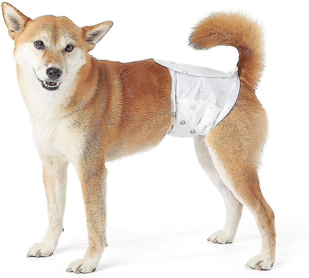 Male Dog Wrap