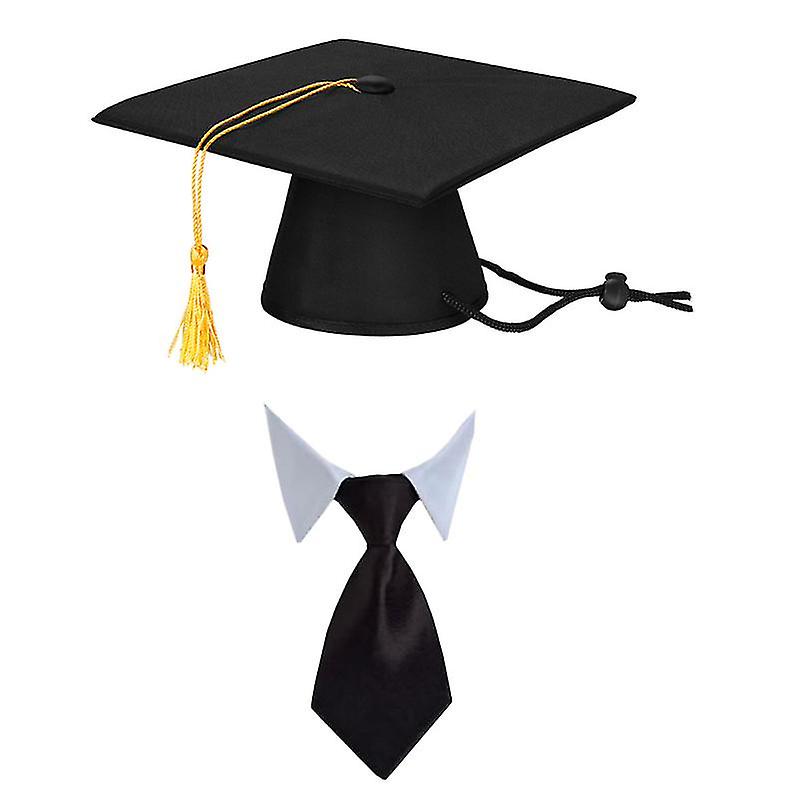 2pcs Puppy Doctor Hat