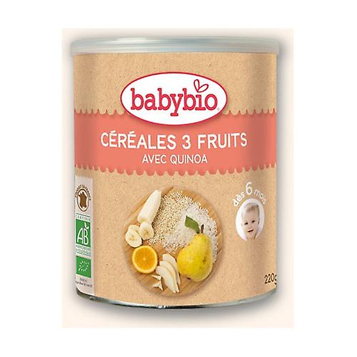 Cereals Porridge 3 Fruits Bio (6 Months) 220 g of powder (Fruits)