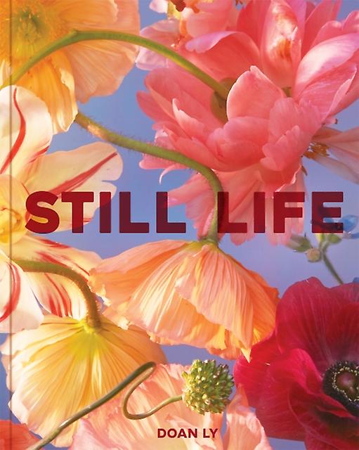 Still Life by Doan Ly Hardback Book