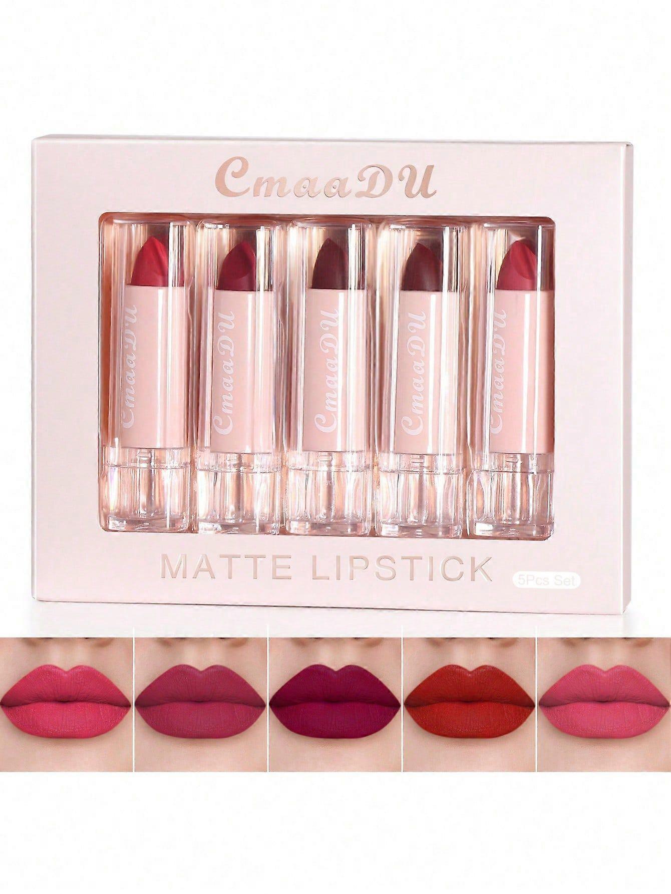 Kit de lápiz labial mate, 5 piezas de kit de lápiz labial hidratante Juego de maquillaje de lápiz labial
