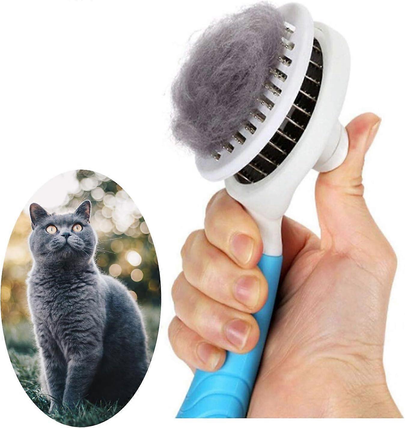 Brush Cats Grooming Shedding