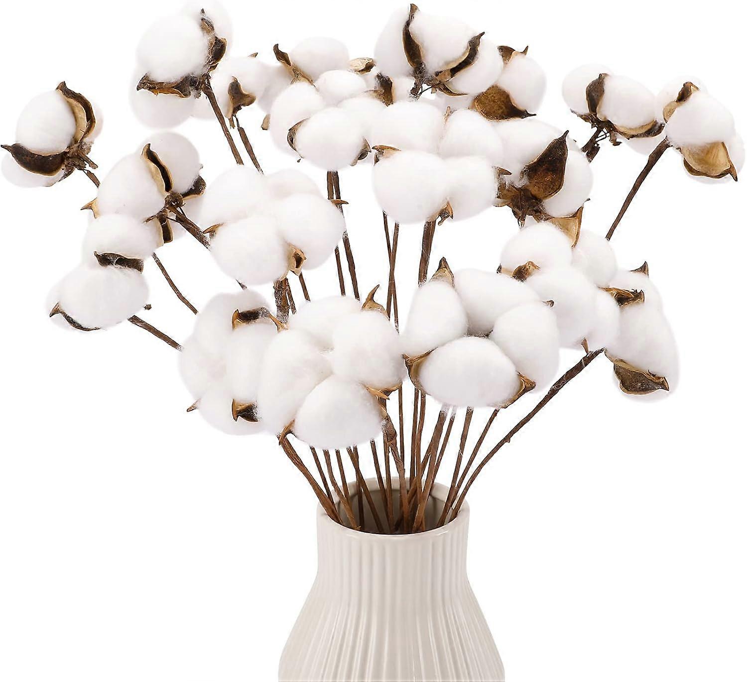 Elegant Adjustable Rustic Cotton Branches