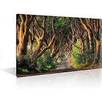 Woods Forest Natural Landscape Tree Wooden Jigsaw 1000 Piece Educational Toys