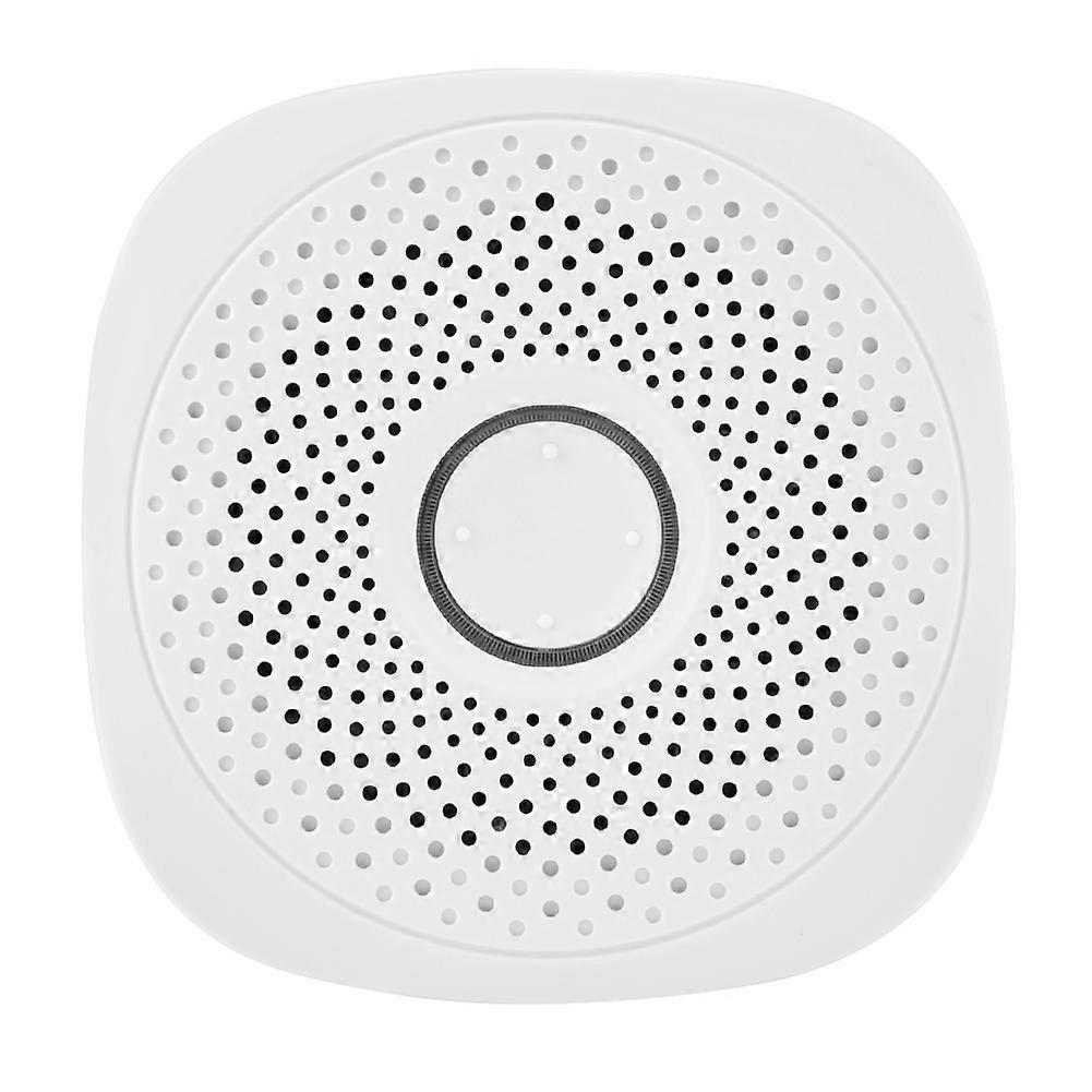 Combustible Gas Leak Detector Built in Speaker Smart Gas Alarm Sensor