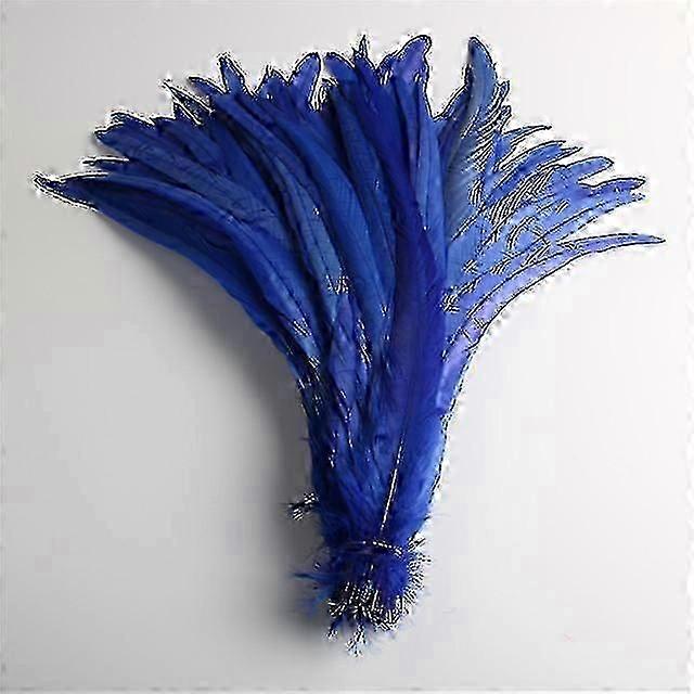 50pcs Penas de cauda de pintinho natural 25 -40cm / 10 -16 polegadas Decoração de roupas Palco Performance Galo