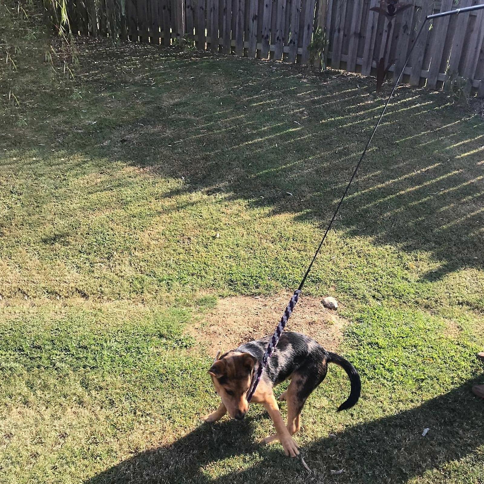 Dog Extendable Teaser Wand Flirt Stick Pole Puppy Chasing