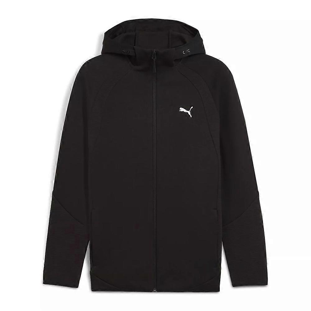 Sweatshirts Puma Evostripe 68823101