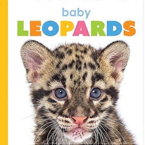 Cuccioli di leopardo