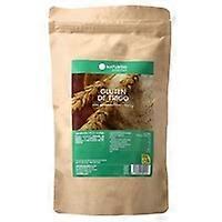 Wheat gluten 500 g