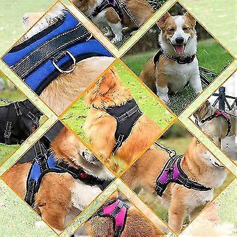 No Pull Breathable Adjustable Comfort Free Lead Included For Small Medium Large