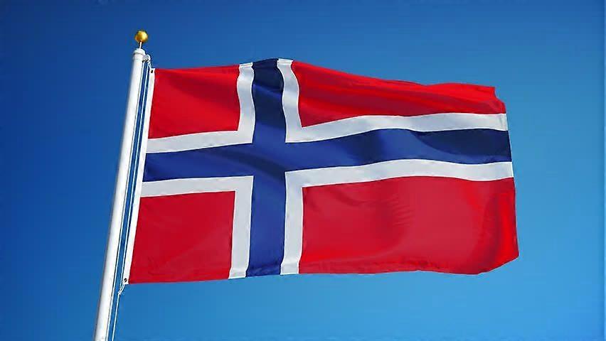 New Norway Flag Zy0514