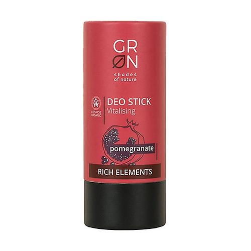 Rich Elements antibacterial deodorant stick 40 g
