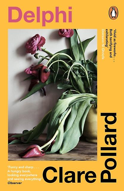 Delphi by Clare Pollard Paperback