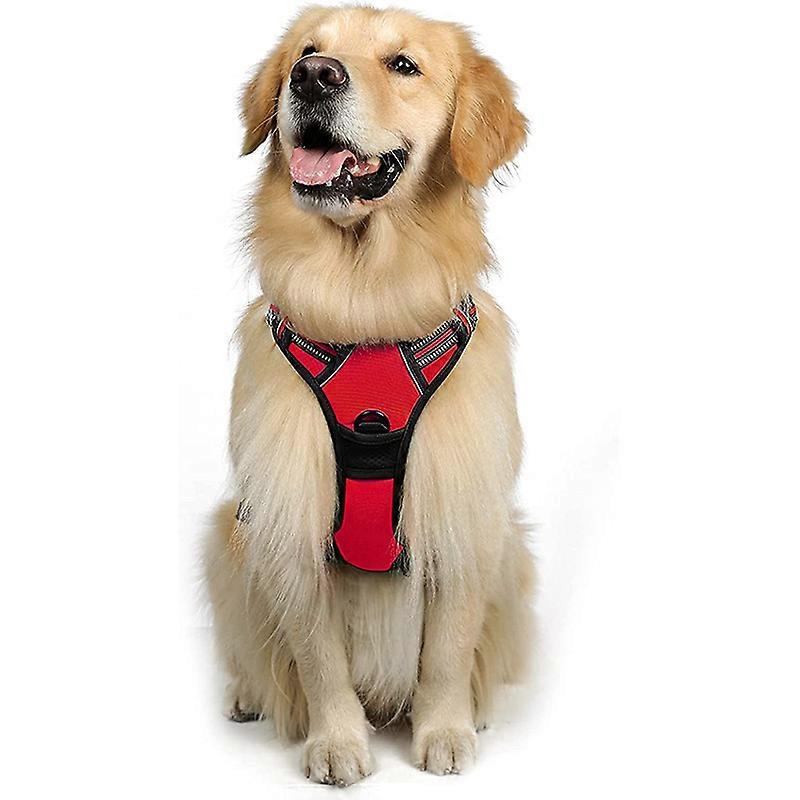 Premium No-pull Dog Harness With 2 Leash Clips Adjustable And Comfortable