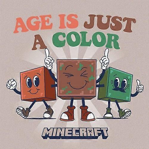 Minecraft Age Is Just A Color Canvas Print