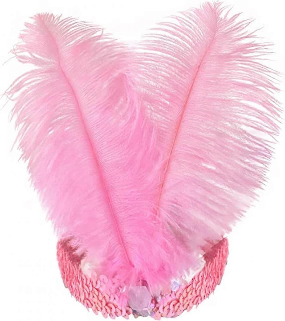 Sequin Feather Tiara 1920's Carnival Party Event Vintage Headband Flap, Product Dimensions 19x24cm