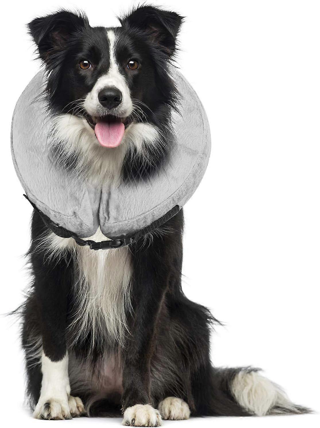 Inflatable Recovery Collar with Buckle for Dogs and Cats, Comfortable Adjustable Healing Cone Protective Collar for DogL